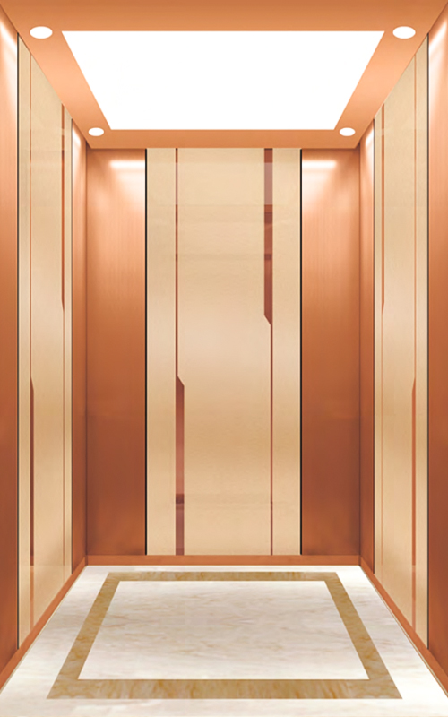 NF-J006 home elevator electric small home lifts prices residential lift passenger elevator residential building passenger elevator lift