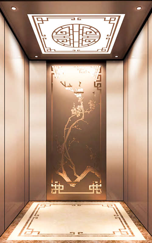 NF-J016 high quality elevator 450kg 6 peoples elevator elevator lift passenger passenger lift